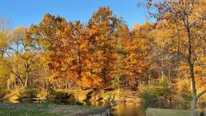 A pathway leading to a body of water surrounded by trees with autumn foliage. - Otter's Edge Estates (Vienna)