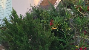 A garden with various plants and a staircase leading to a building. - Blissful apartment by the sea with panoramic view (Slatine)