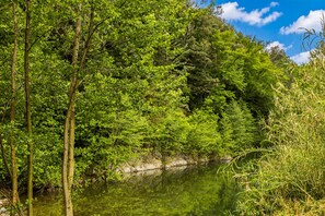 Eine natürliche Landschaft mit einem Gewässer, dichtem Grün und Bäumen.