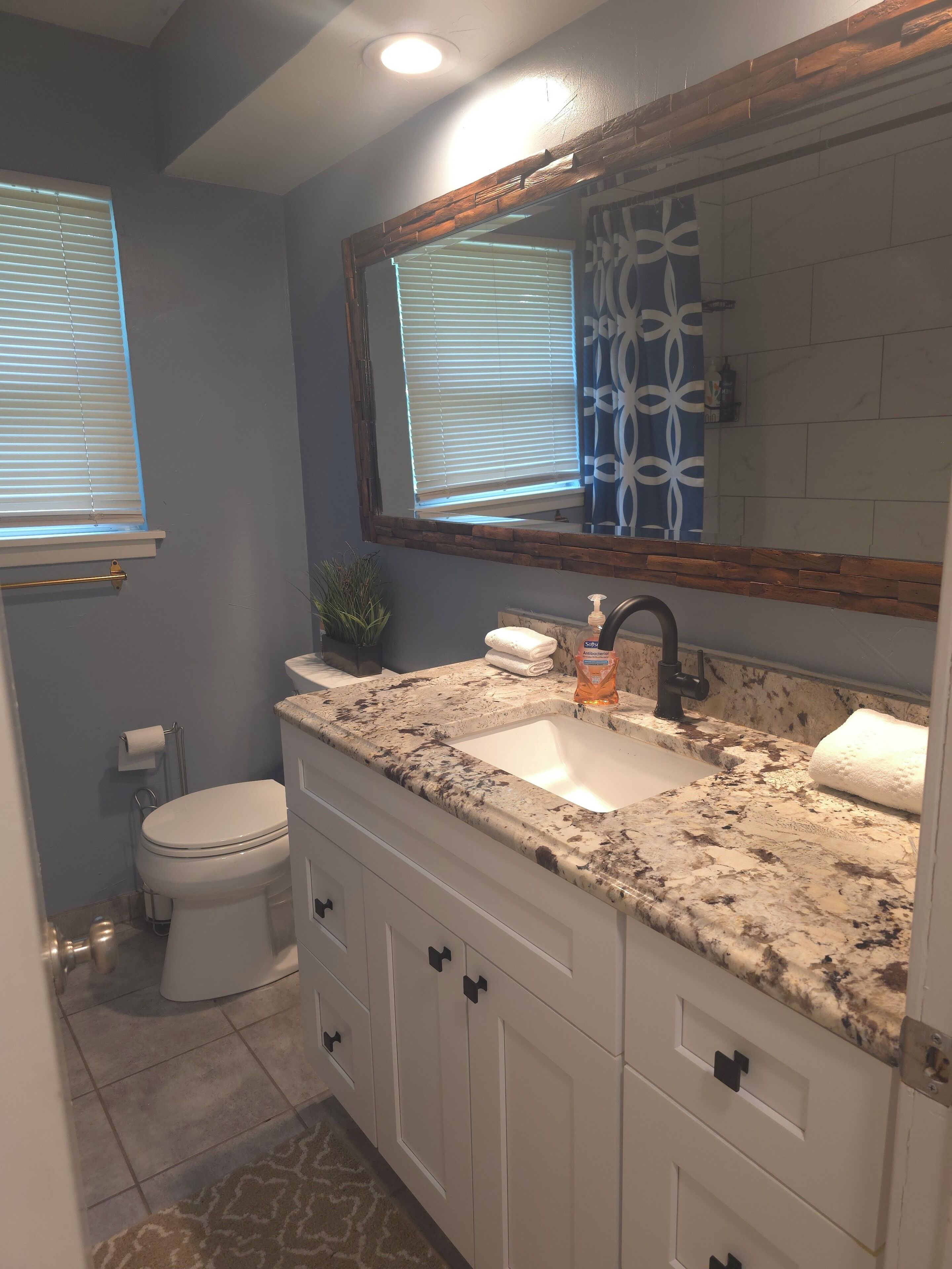 Hair dryer, towels, soap, toilet paper