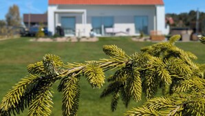 A modern house with a red roof, a front yard, and a pine tree in the foreground. - Scandinavian Villa with sauna and hot tube and big garden. (Kołczewo)
