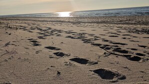 A beach with footprints and the sun setting in the background. - Scandinavian Villa with sauna and hot tube and big garden. (Kołczewo)