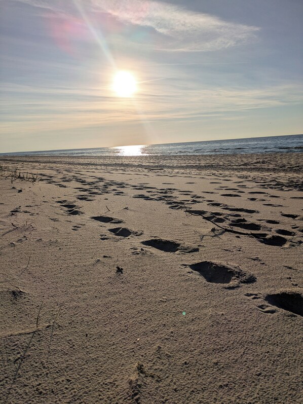Strand