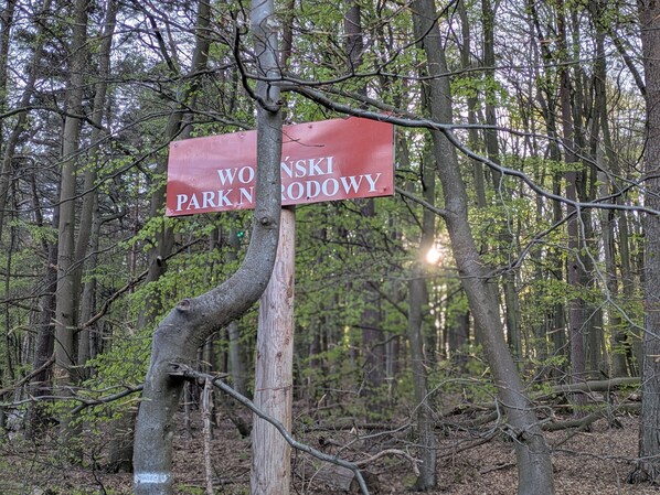 A signpost in a wooded area with the text 'WOJSKI PARK N PODOWY' indicating the name of the park.