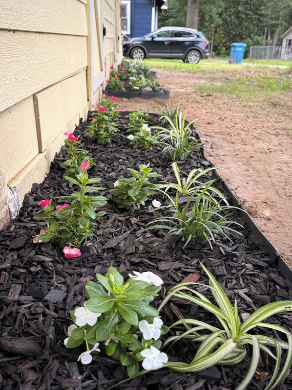 Una jardinera con diversas plantas y flores, una casa al fondo y un automóvil estacionado.
