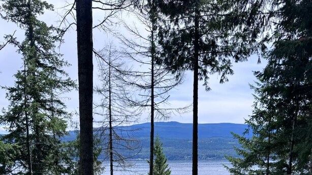 Deux chaises placées face à un paysage pittoresque, avec un lac et une forêt en toile de fond.