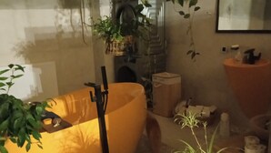 A living room with a sofa, a coffee table, a TV, and several potted plants.