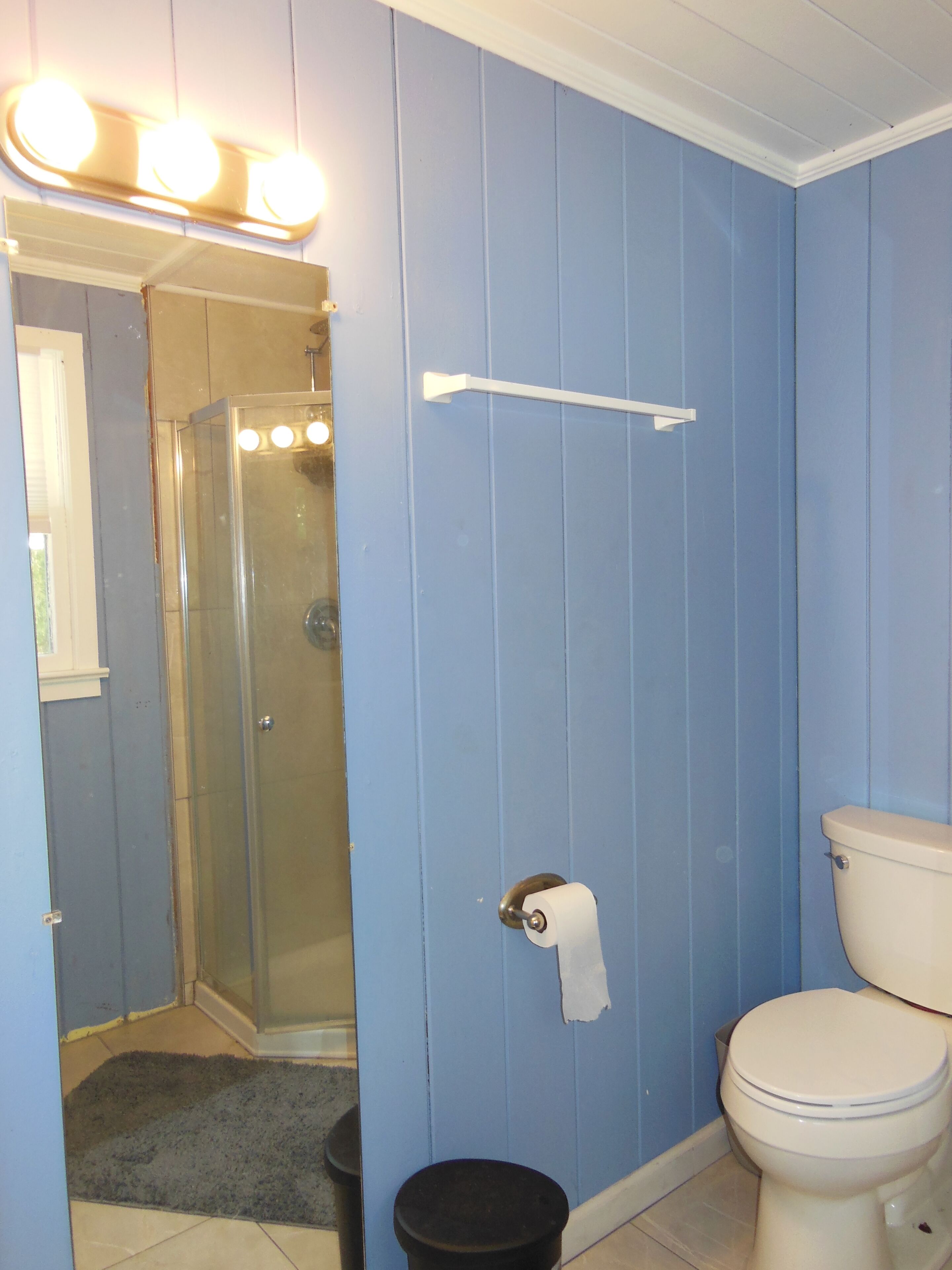 A bathroom with a glass shower enclosure, a toilet, and a towel rack.