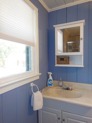 Hair dryer, towels, toilet paper