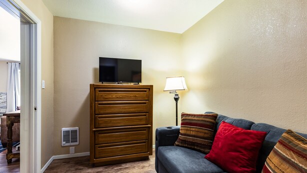 Living area - Lake Fork - Ski-In / Ski-Out, Gas Stove, Parking (Taos Ski Valley)