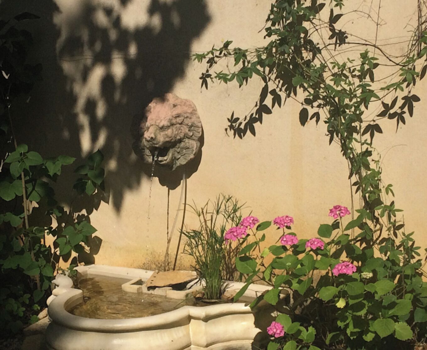 Detalle exterior