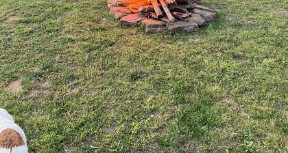 2-bedroom country cottage near Marshall, 20 minute drive to the Buffalo River