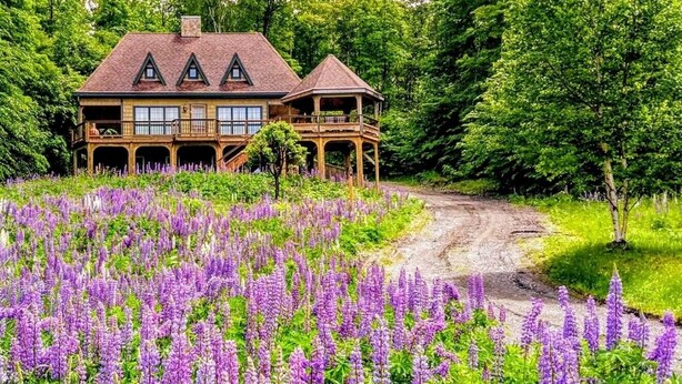 Una casa de madera de dos pisos con un balcón, rodeada por un campo de flores moradas.