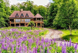 A two-story wooden house with a balcony, surrounded by a field of purple flowers.