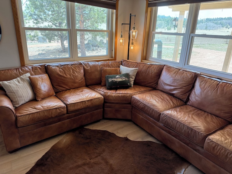 3 Acre 3-bedroom Cabin In Marvelous Florissant 20 Minutes From 11 Mile Reservoir - Colorado