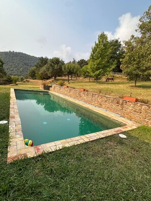 A rectangular swimming pool with a stone border, surrounded by grass and trees, with a mountain in the background.