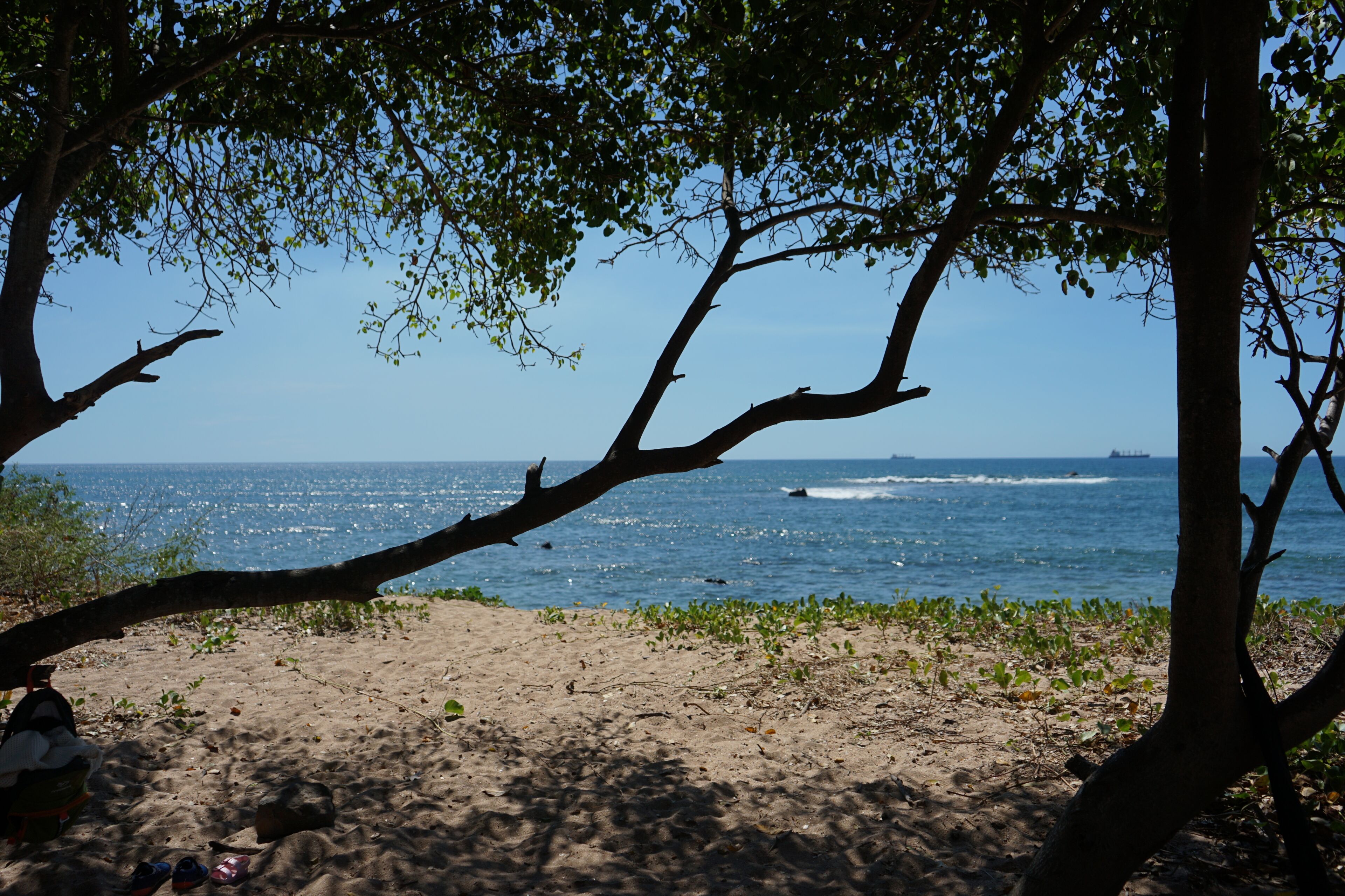 Chaises longues, serviettes de plage