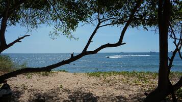 Chaises longues, serviettes de plage