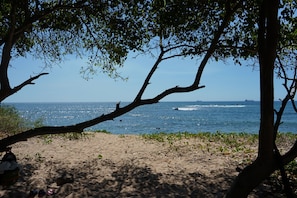 Uma praia com vista clara para o oceano, um navio ao longe e uma árvore em primeiro plano.