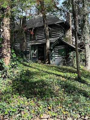A rustic cabin with a stone foundation, surrounded by dense foliage and trees.