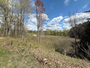 A natural landscape with trees, grass, and a clear sky.