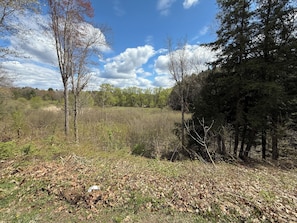 A natural landscape with trees, a field, and a clear sky.