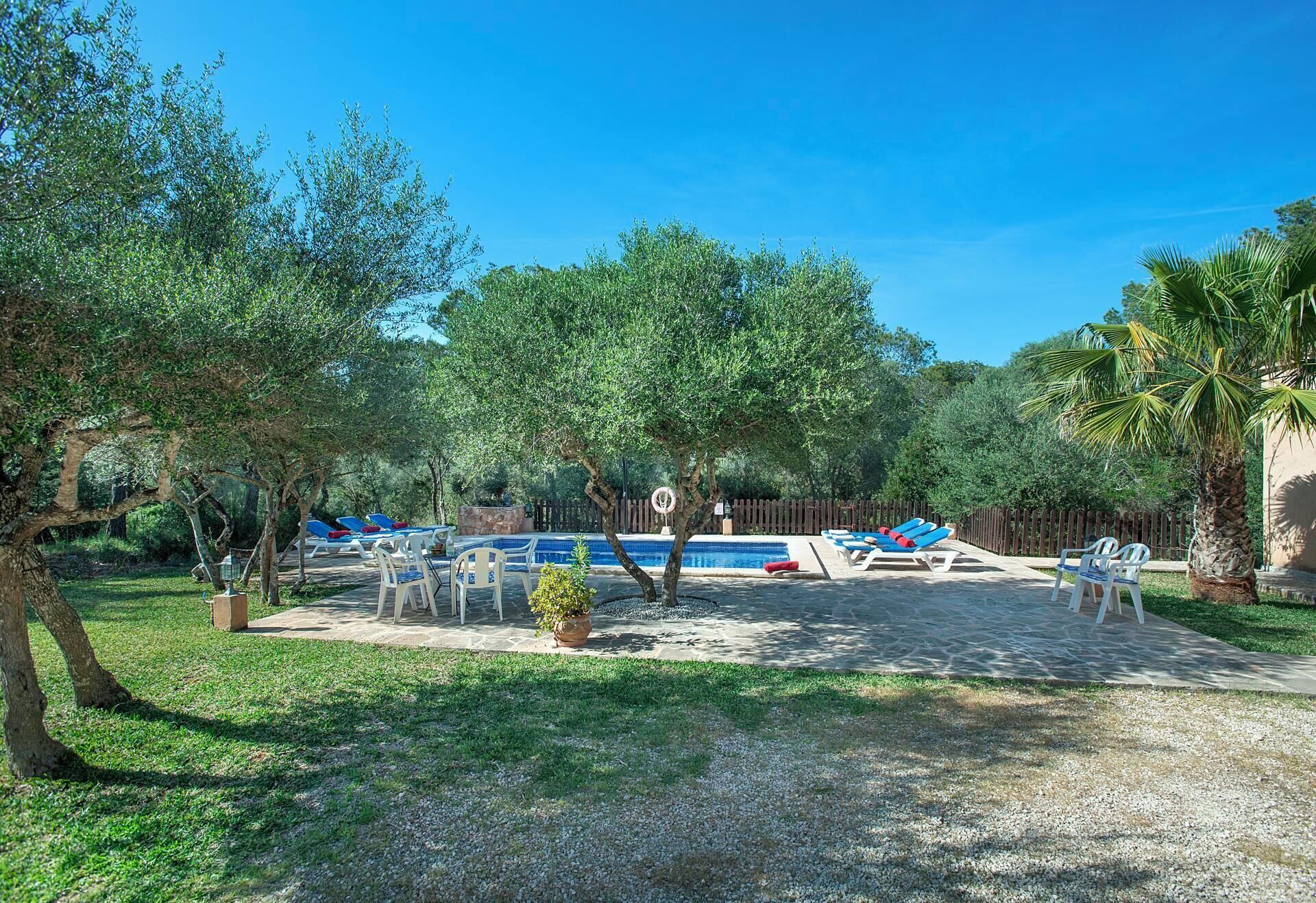A backyard with a swimming pool, lounge chairs, and trees.