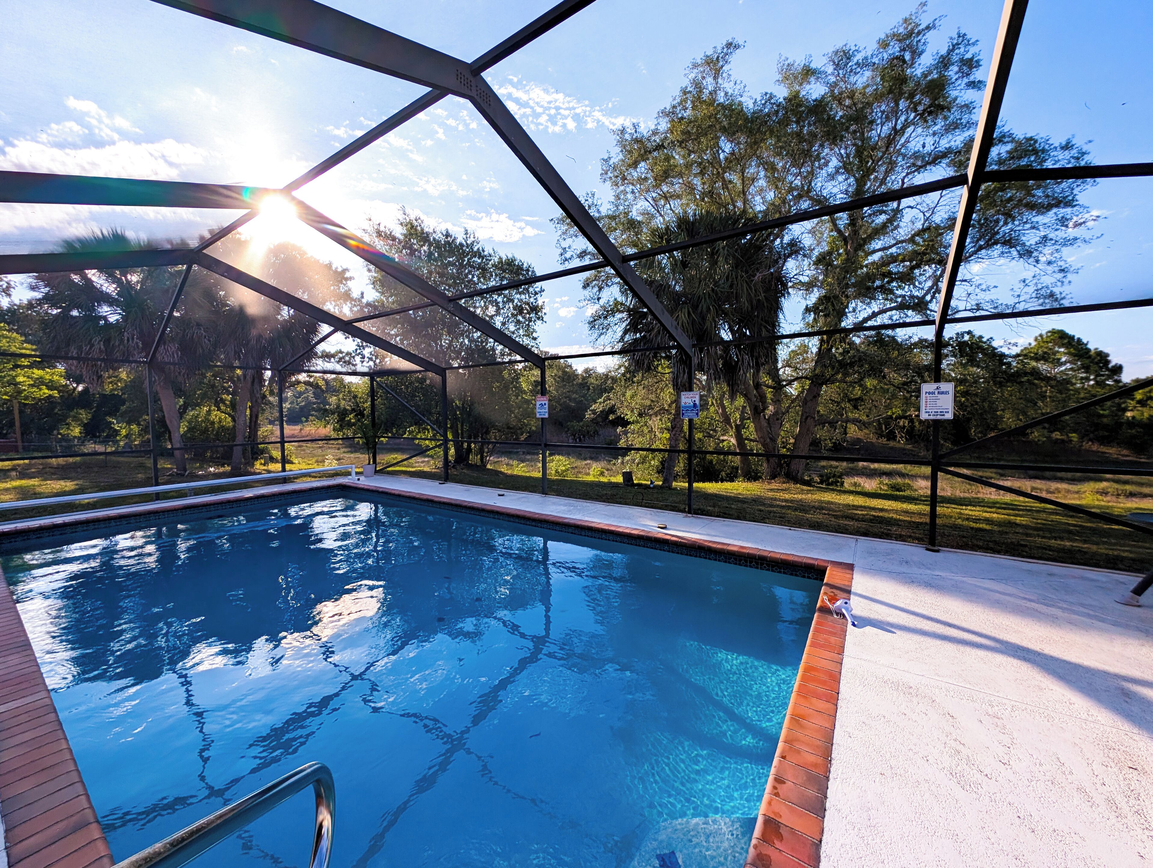A swimming pool with a metal safety fence, surrounded by trees and a clear sky.