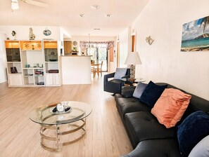 Smart TV, fireplace, books
