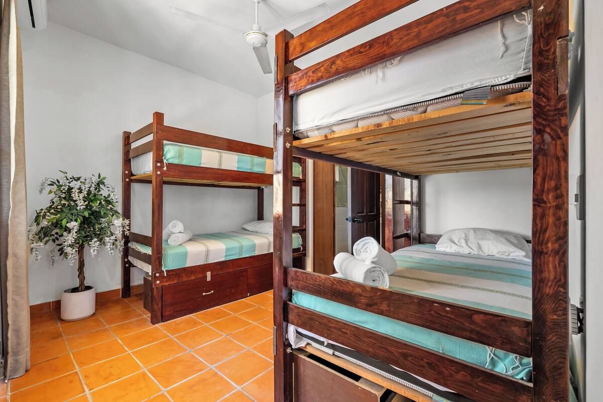 A room with two bunk beds, a potted plant, and a ceiling fan.