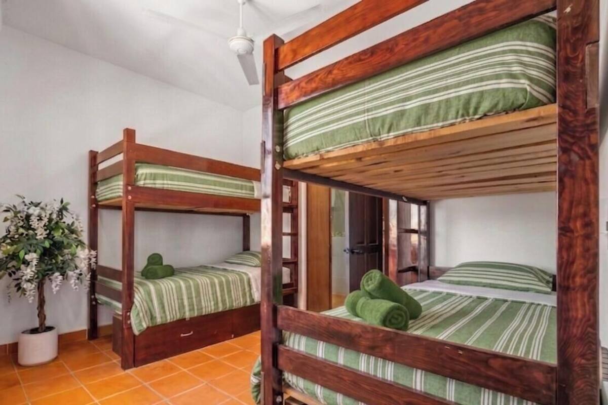 A room with two bunk beds, a potted plant, and a door.