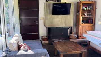 Smart TV, fireplace, books
