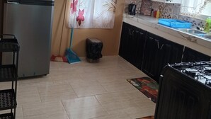 Una cucina con un frigorifero, una scopa, un cestino e un lavandino.