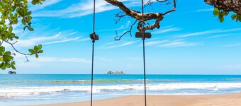 Luxury Beachfront Resort & Jungle Wildlife