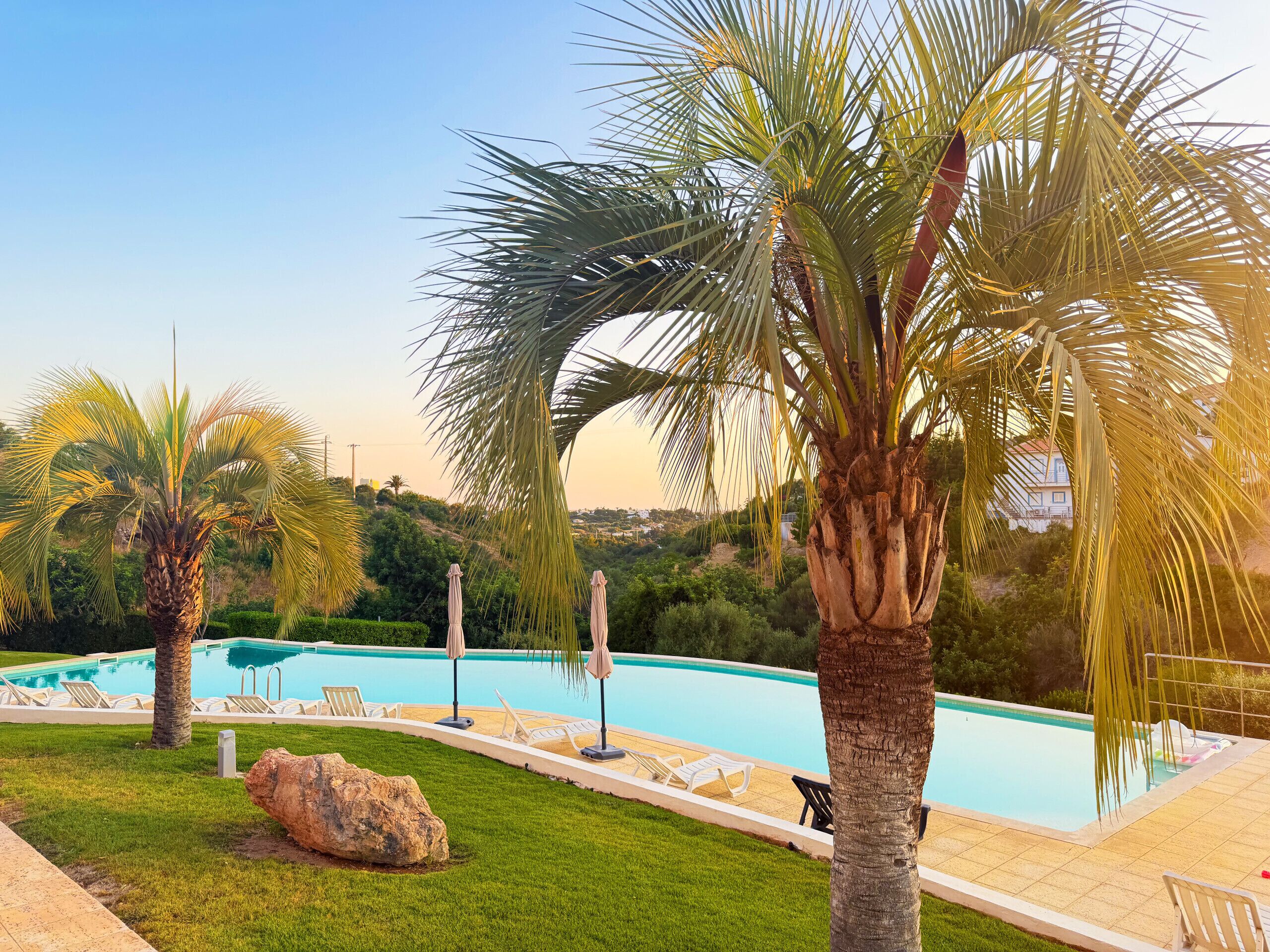 Una piscina con sillas de descanso y palmeras.