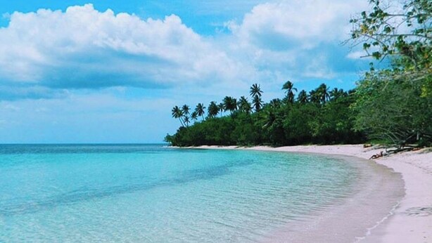Ein Strand mit klarem türkisblauem Wasser, weißem Sand und einer Reihe von Palmen.