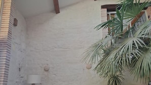 Een kamer met dakraam, een bank met kussens, een salontafel, een stoel en een plant in pot.