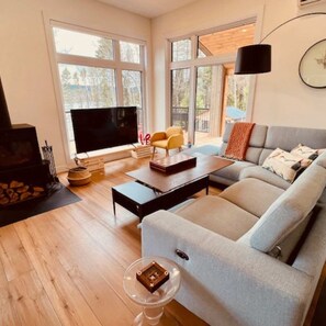 TV, fireplace, offices