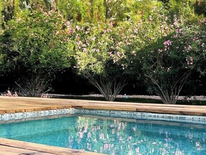 Pool - LUX 7BA/5BA Oasis w/Heated Pool & Spa +huge garden (Las Vegas)