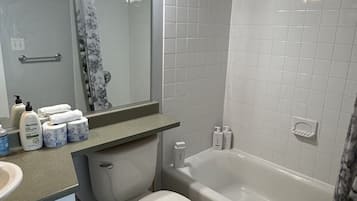 Hair dryer, towels, toilet paper