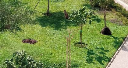 APARTMENT IN PIURA WITH PARK VIEW