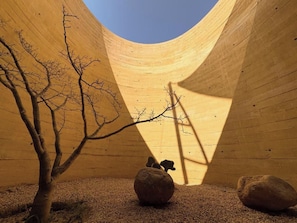 Eine geschwungene Holzkonstruktion mit Baum und Felsen im Inneren.