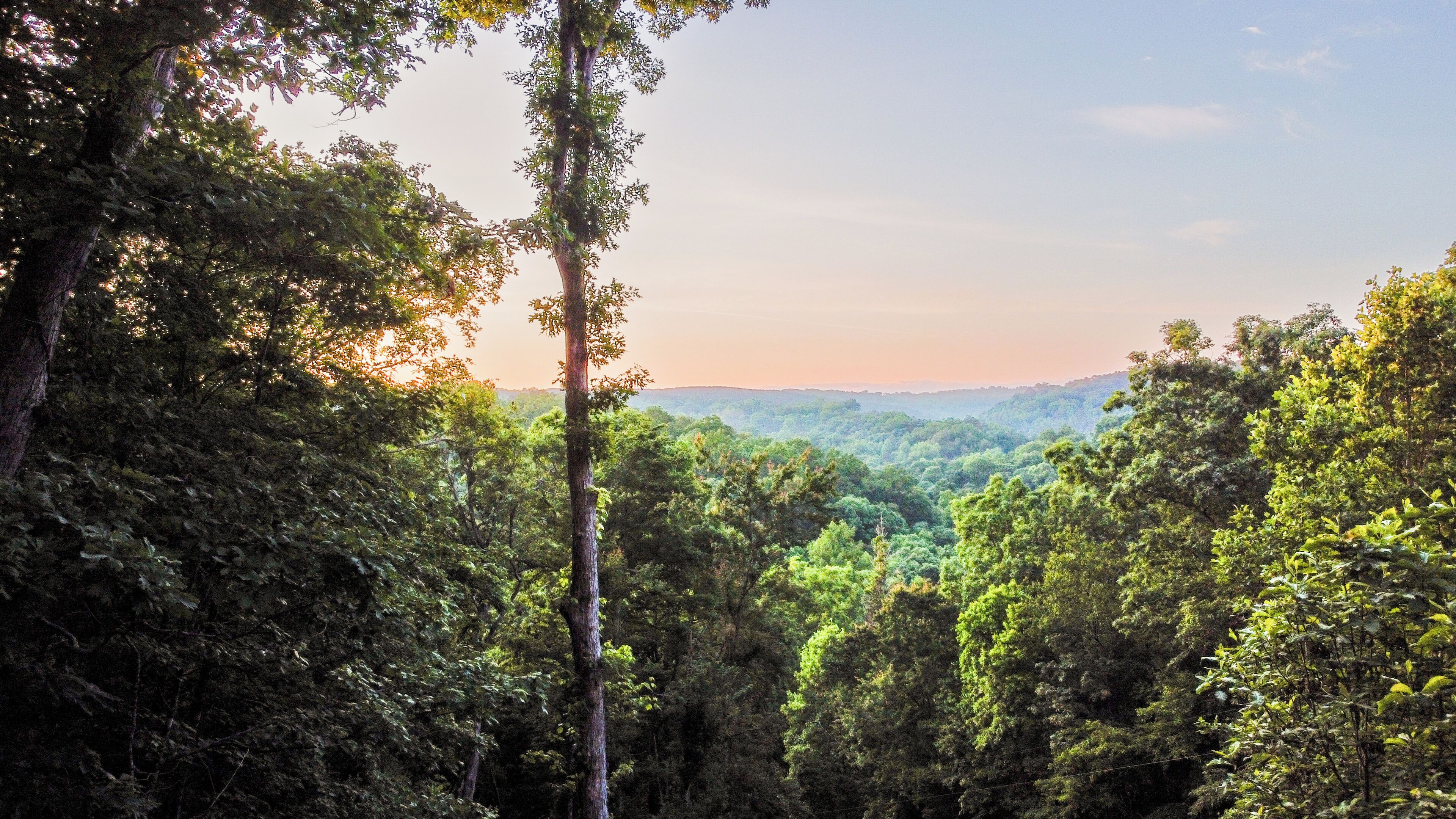 Un paysage boisé, avec des arbres denses et une vue dégagée sur la vallée.