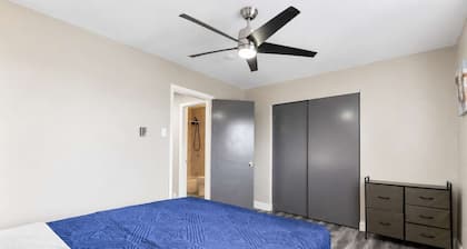 Morganford Strip 1BR · Full Kitchen · Free Parking · Pets Any Size