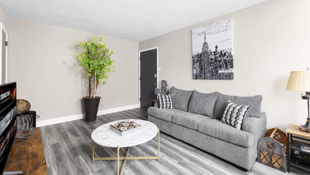 Ein Wohnzimmer mit grauem Sofa, einem runden Couchtisch, einer Topfpflanze, einem Stadtbild-Gemälde und einem Fernseher.