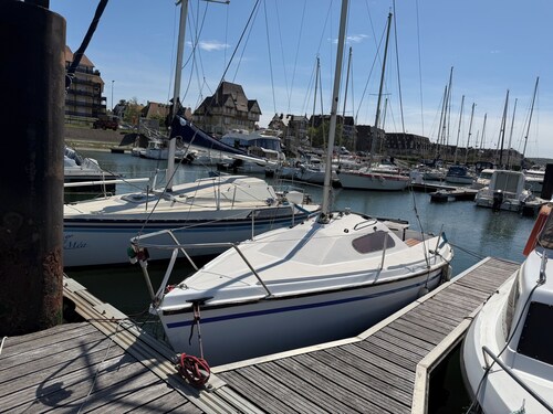 Cosy sailboat in the port of Deauville • Marina view