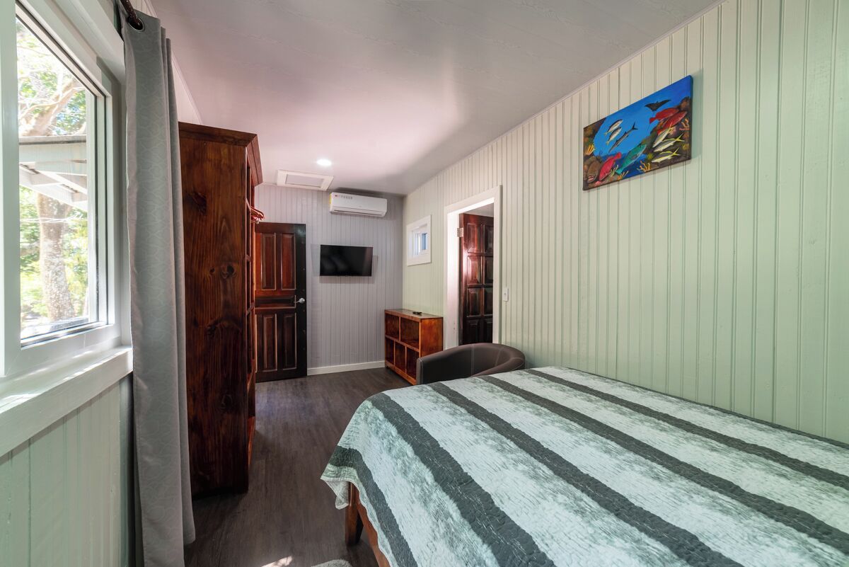 Una habitació amb un llit, televisió, un quadre i un armari de fusta.