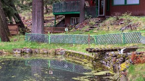 A pond with a wooden bridge, a fenced area, and a building with a green roof.