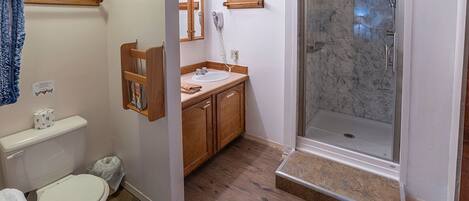 Hair dryer, towels, soap, shampoo