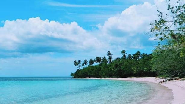 Ein Strand mit klarem türkisblauem Wasser, weißem Sand und einer Reihe von Palmen.